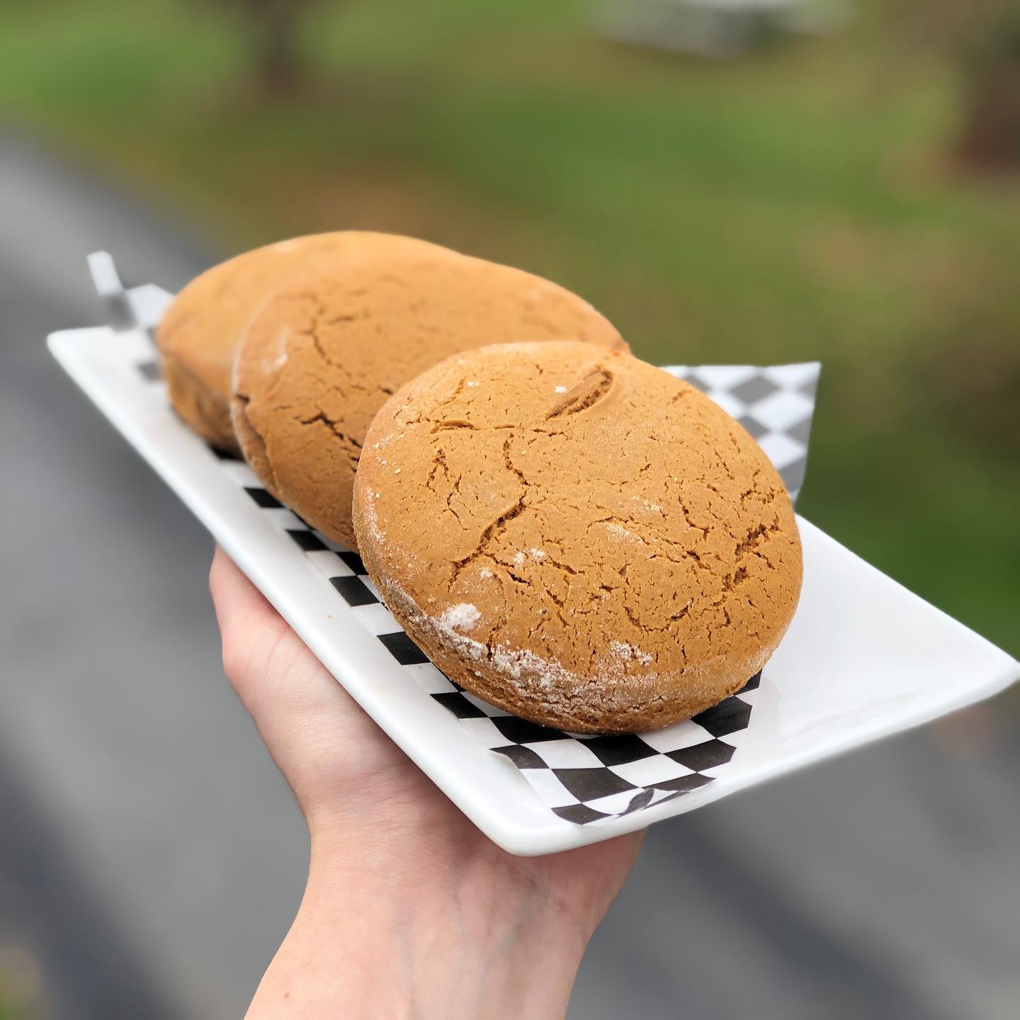 Molasses Cookies