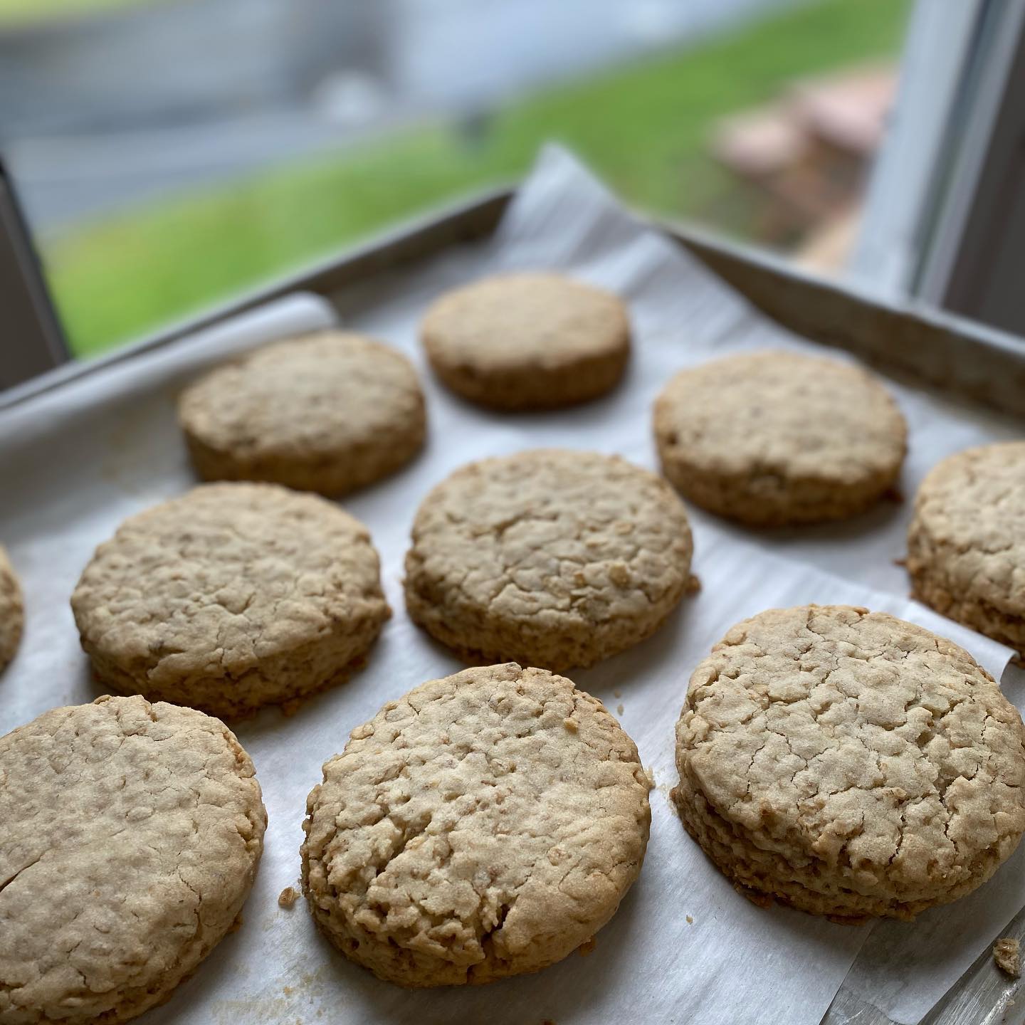 Oat Cakes